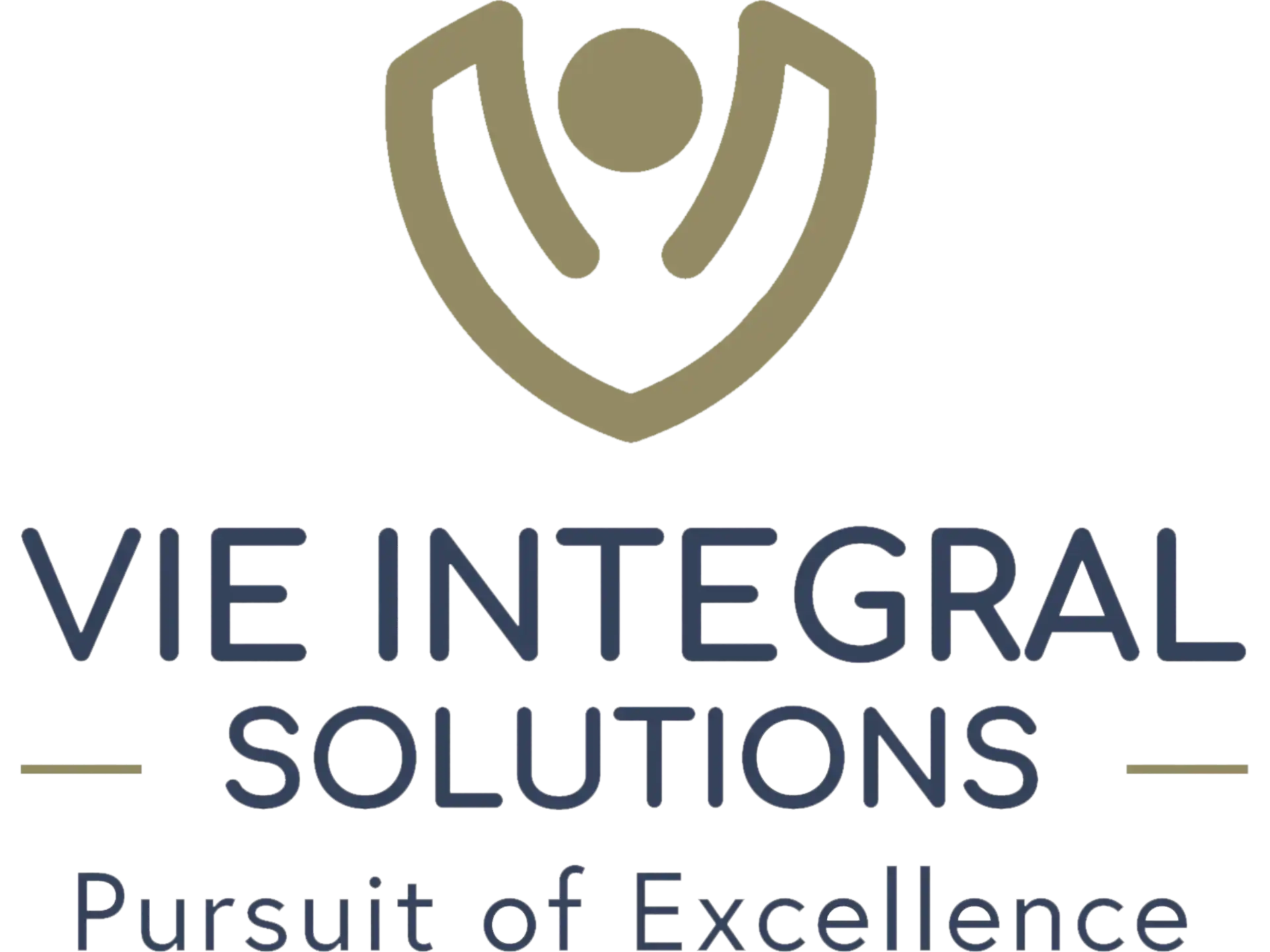 VIE Integral Solutions logo